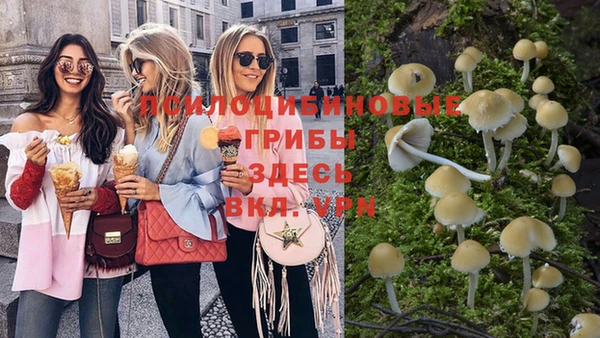 круглые Вяземский
