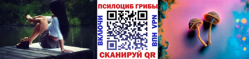 сайты даркнета как зайти  Подольск  Псилоцибиновые грибы ЛСД 